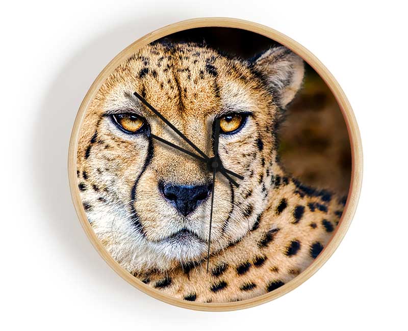 Beautiful Cheetah Face Clock - Wallart-Direct UK