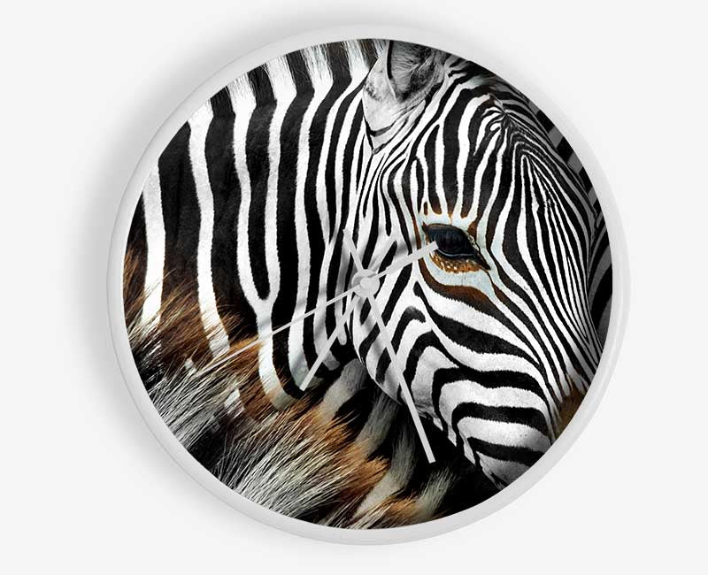 Zebra Huddle Clock - Wallart-Direct UK