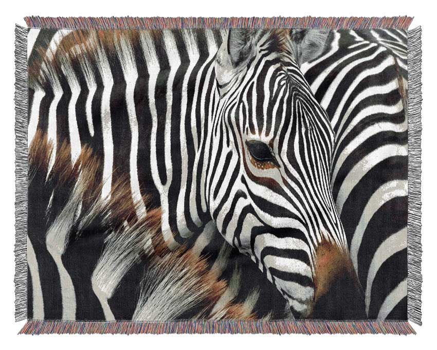 Zebra Huddle Woven Blanket