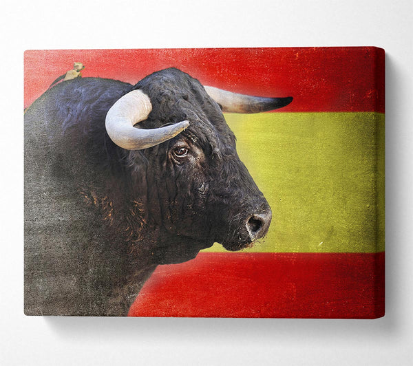  A Canvas Print of Spanish Bull Canvas Wall Art