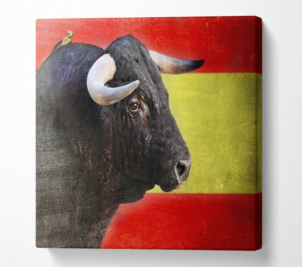 A Square Canvas Print Showing Spanish Bull Square Wall Art