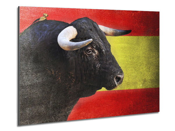 Spanish Bull Metal Print