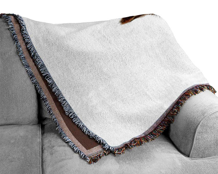 Super Squirrel Woven Blanket