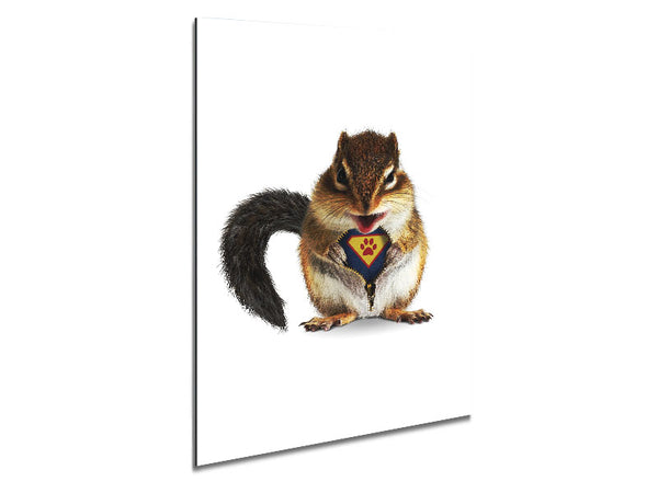 Super Squirrel Metal Print