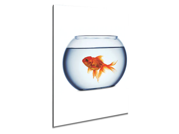 Goldfish Bowl Metal Print