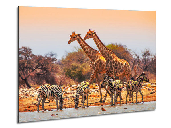 Safari Watering hole Metal Print