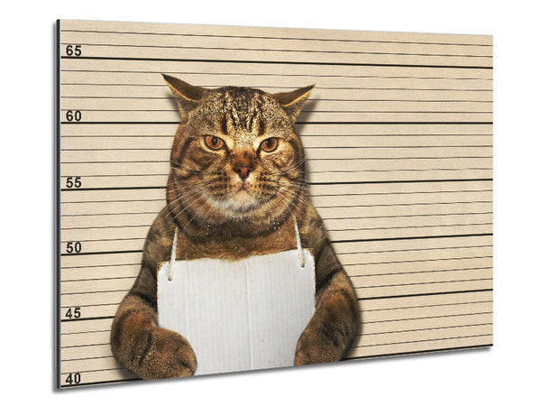 It Wasn't Me Cat Metal Print