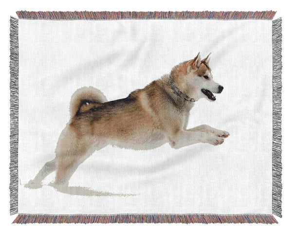 Husky Dog Snow Play Woven Blanket