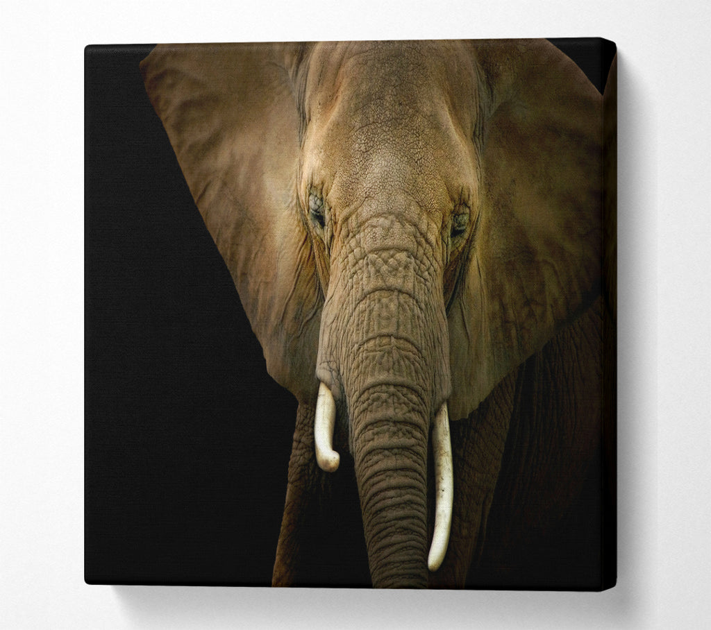 A Square Canvas Print Showing Stunning Elephant Face Square Wall Art