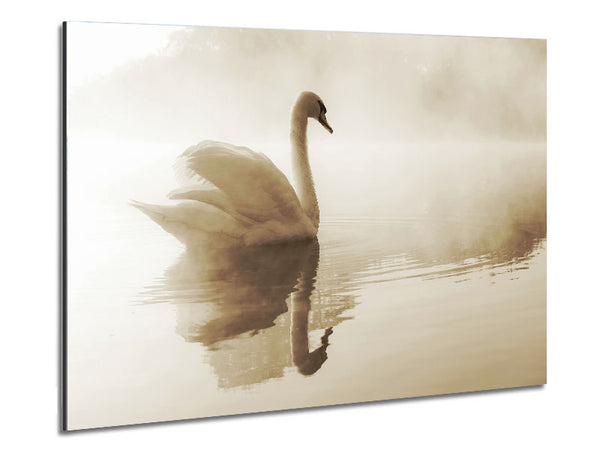 Lonesome Swan Metal Print