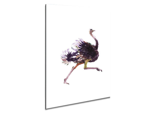 Ostrich Run Metal Print