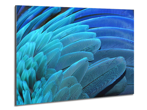 Parrot Feathers Metal Print