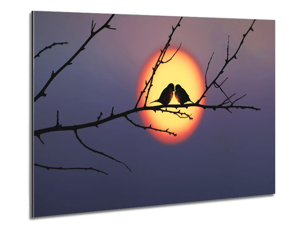 Love Bird Sunset Metal Print