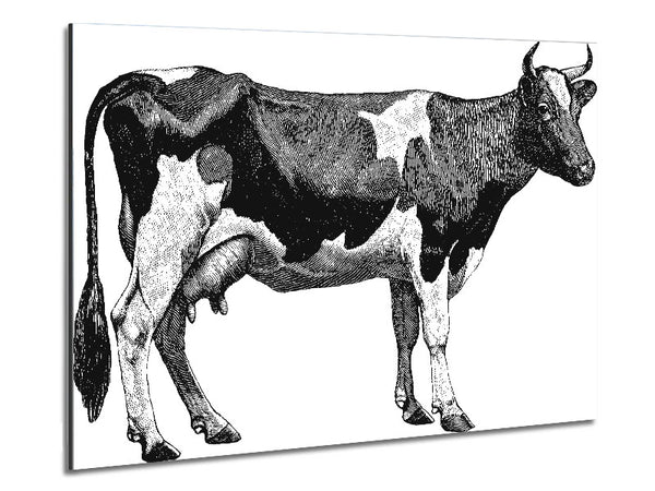 Mother Cow Metal Print
