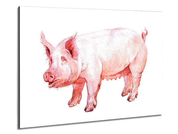 Mother Pig Metal Print