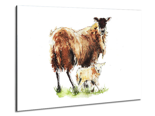 Mother and Baby Lambs Metal Print