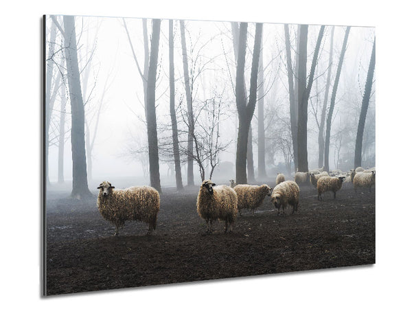 Sheep Forest Metal Print