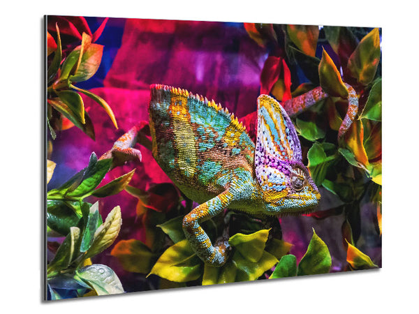 Chameleon In The Pink Metal Print
