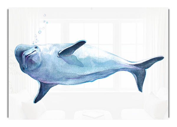 Delphin-Blasen