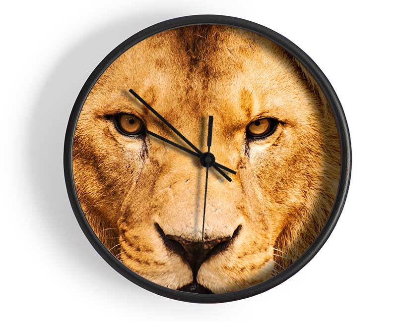 Angry Lion Face Clock - Wallart-Direct UK