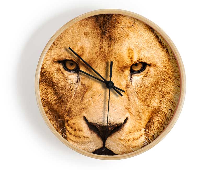 Angry Lion Face Clock - Wallart-Direct UK