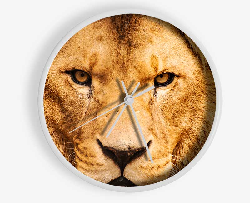 Angry Lion Face Clock - Wallart-Direct UK