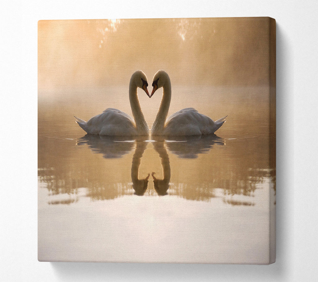 A Square Canvas Print Showing Swan Lake Love Square Wall Art
