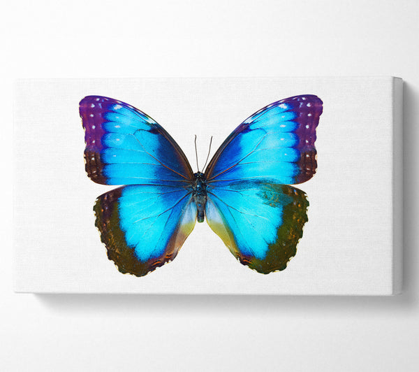 Elektrischer Schmetterling