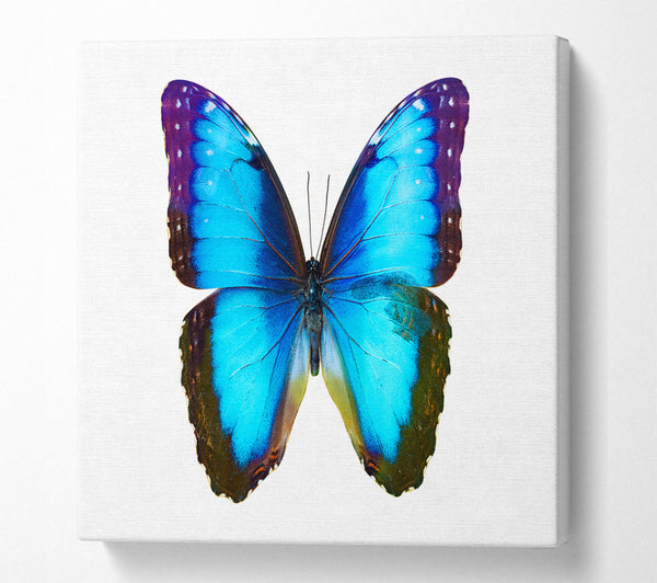 A Square Canvas Print Showing Electric Butterfly Square Wall Art