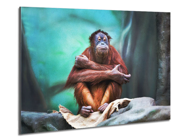 Orangutan Forest Metal Print