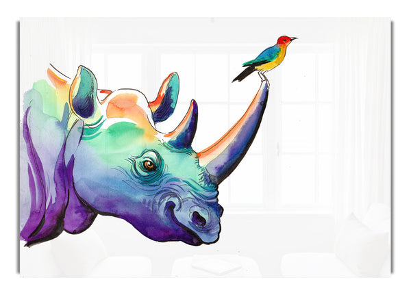 Regenbogen-Nashornvogel
