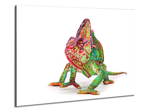 Chameleon Walk Metal Print