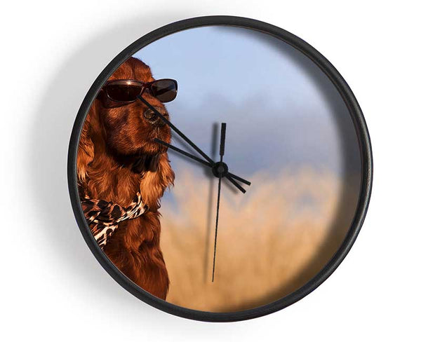 Glamorous Irish Setter Dog Clock - Wallart-Direct UK