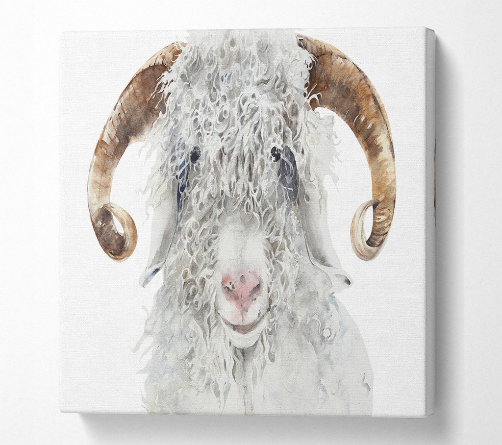 A Square Canvas Print Showing Sheep Beauty Square Wall Art