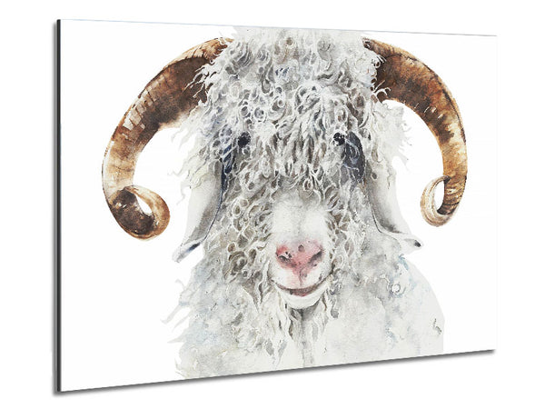 Sheep Beauty Metal Print