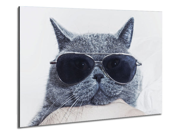 Kitty Cat Cool Metal Print