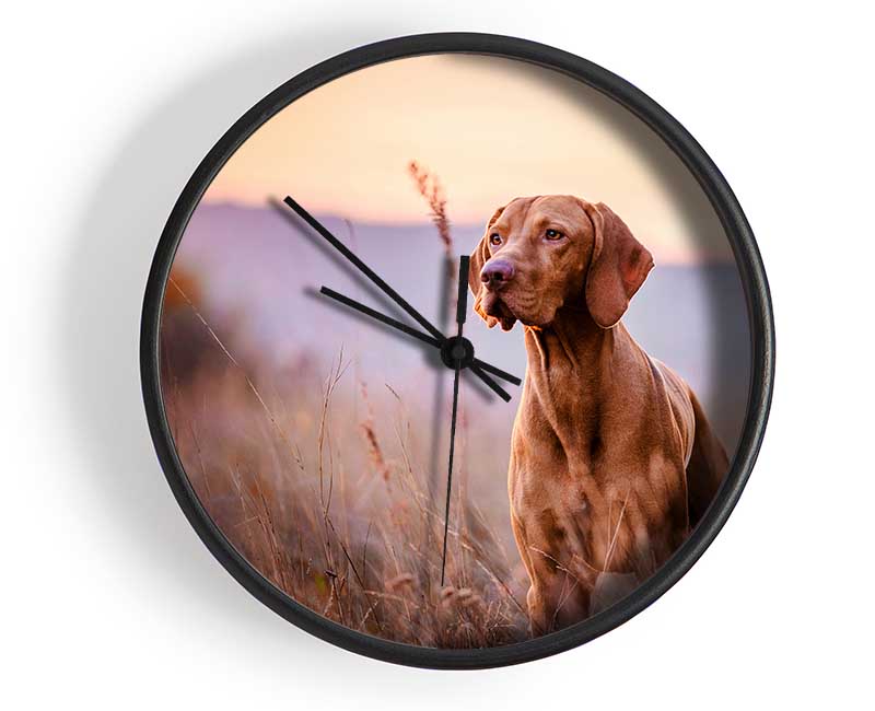 Vizsla Sunset Dog Clock - Wallart-Direct UK