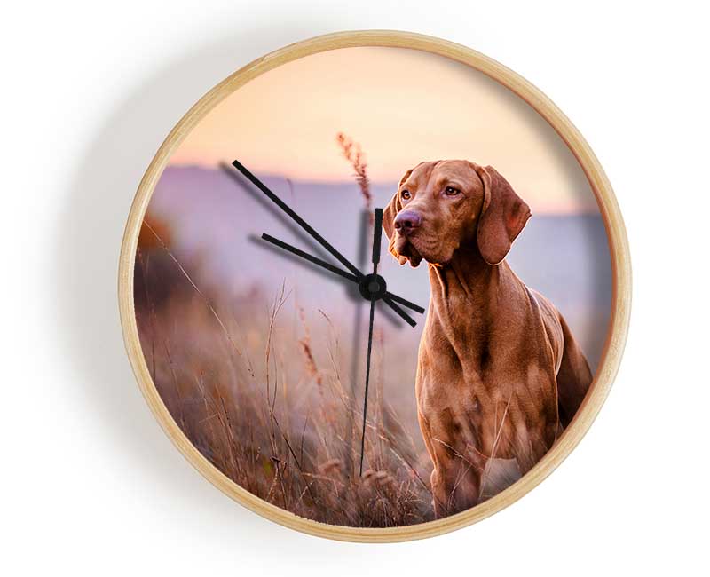 Vizsla Sunset Dog Clock - Wallart-Direct UK