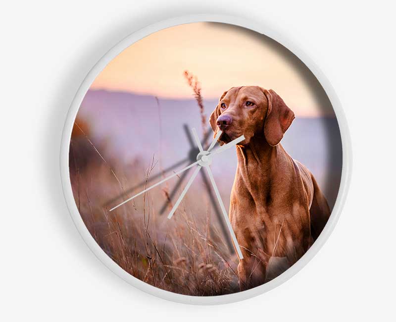 Vizsla Sunset Dog Clock - Wallart-Direct UK