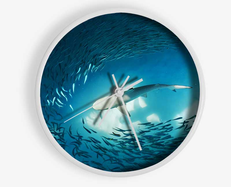 Avoiding the Shark Clock - Wallart-Direct UK