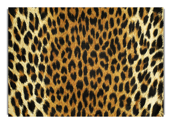 Leopardenfell