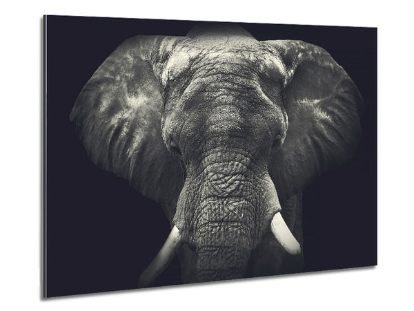 Majestical Elephant Metal Print