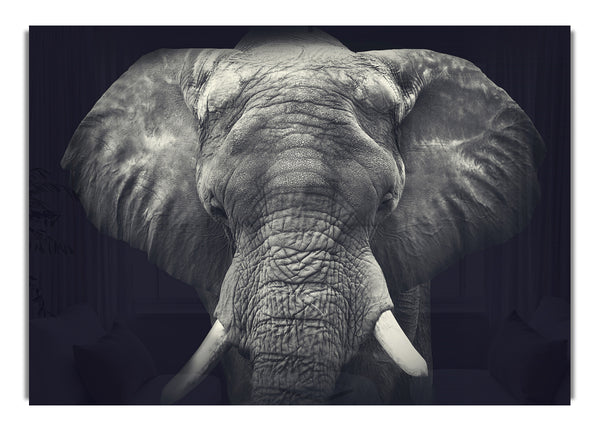 Majestical Elephant