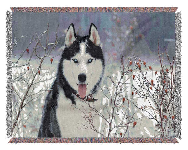 Husky Dog In The Winter Woven Blanket