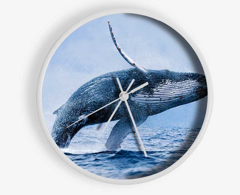 Whale Jump Clock - Wallart-Direct UK
