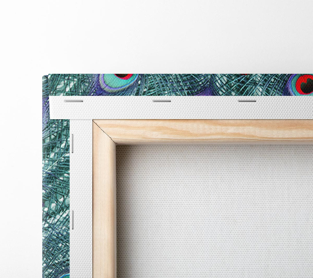  A Canvas Print of Peacock Beauty Canvas Wall Art