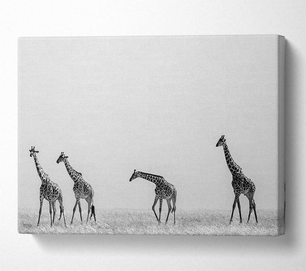  A Canvas Print of Giraffe Safari LineUp Canvas Wall Art