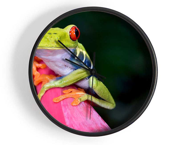 Here's Looking At You Frog Clock - Wallart-Direct UK