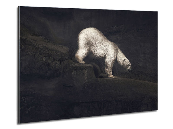 Polar Bear Hunt Metal Print