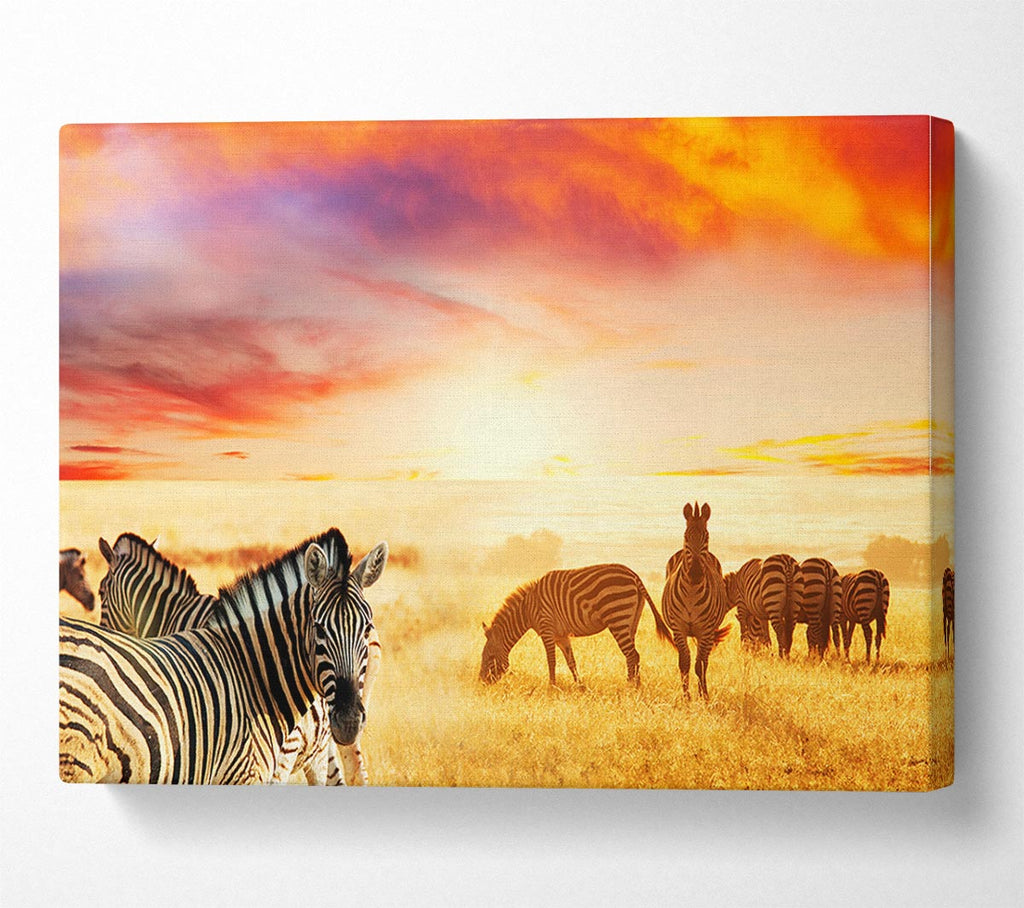 Picture of Zebra Sunset Safari Canvas Print Wall Art